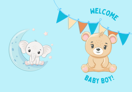 Welcome baby boy card - printed version